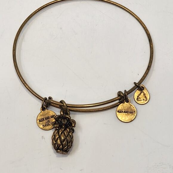 Alex and Ani Pineapple Dangle Charm Bangle Bracelet Antiqued Gold Tone Slider - Picture 4 of 4